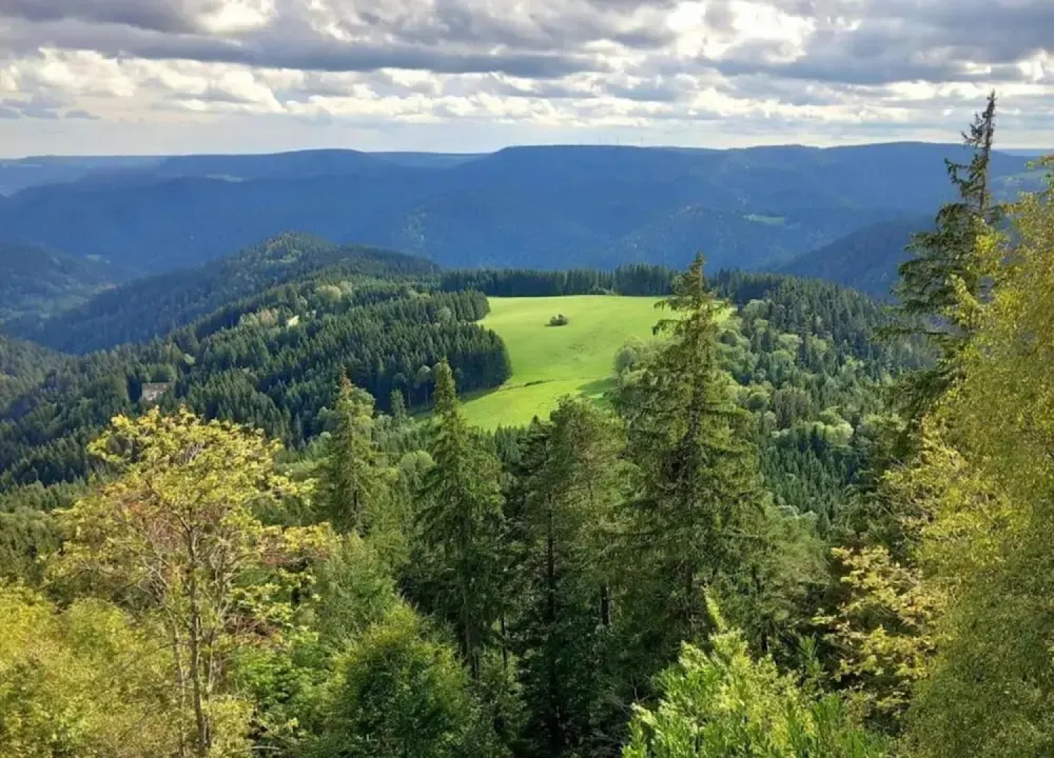 Cosy Farmhouse Apartment at the Edge of the Forest