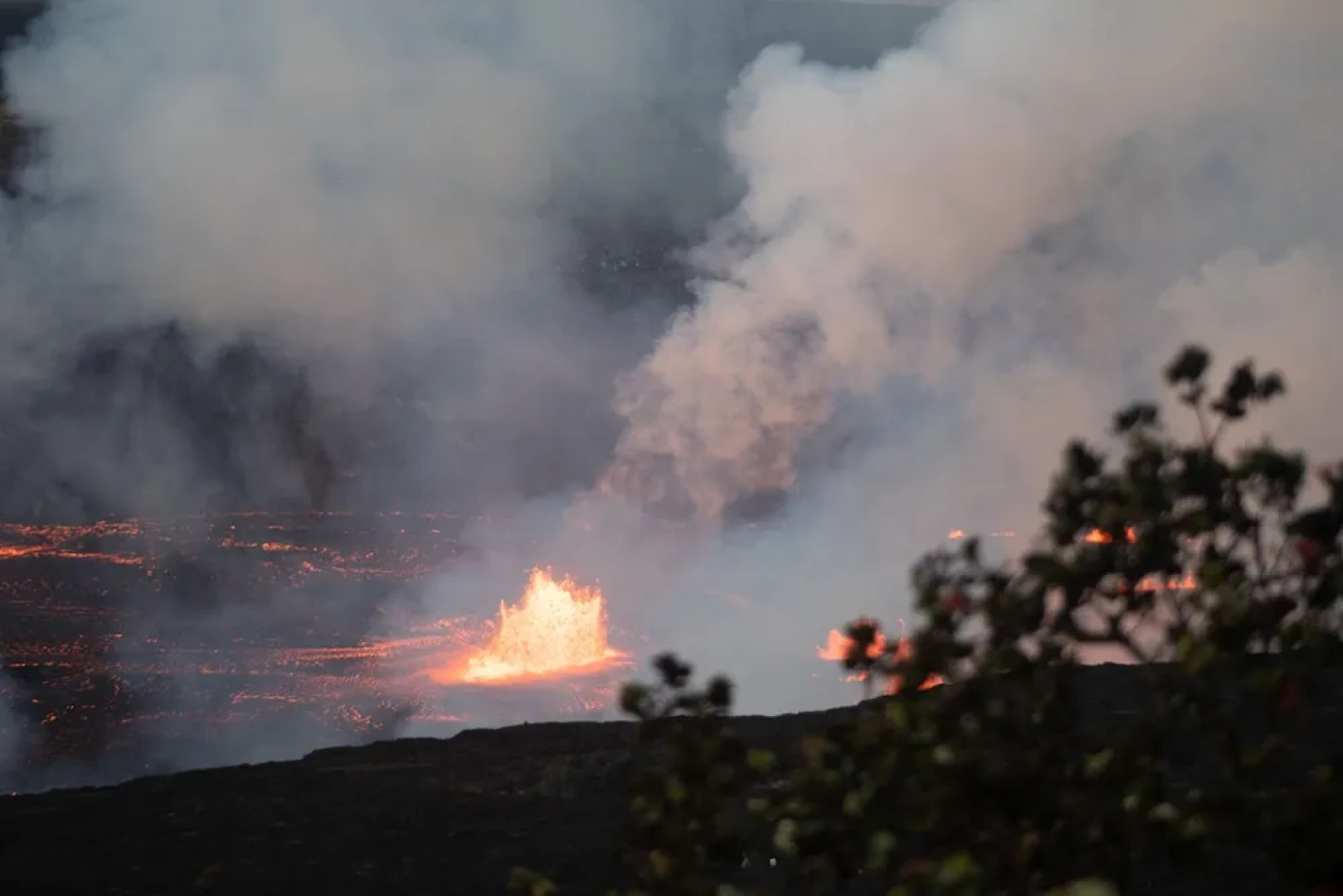 Wild Ginger Inn Hotel & Hostel