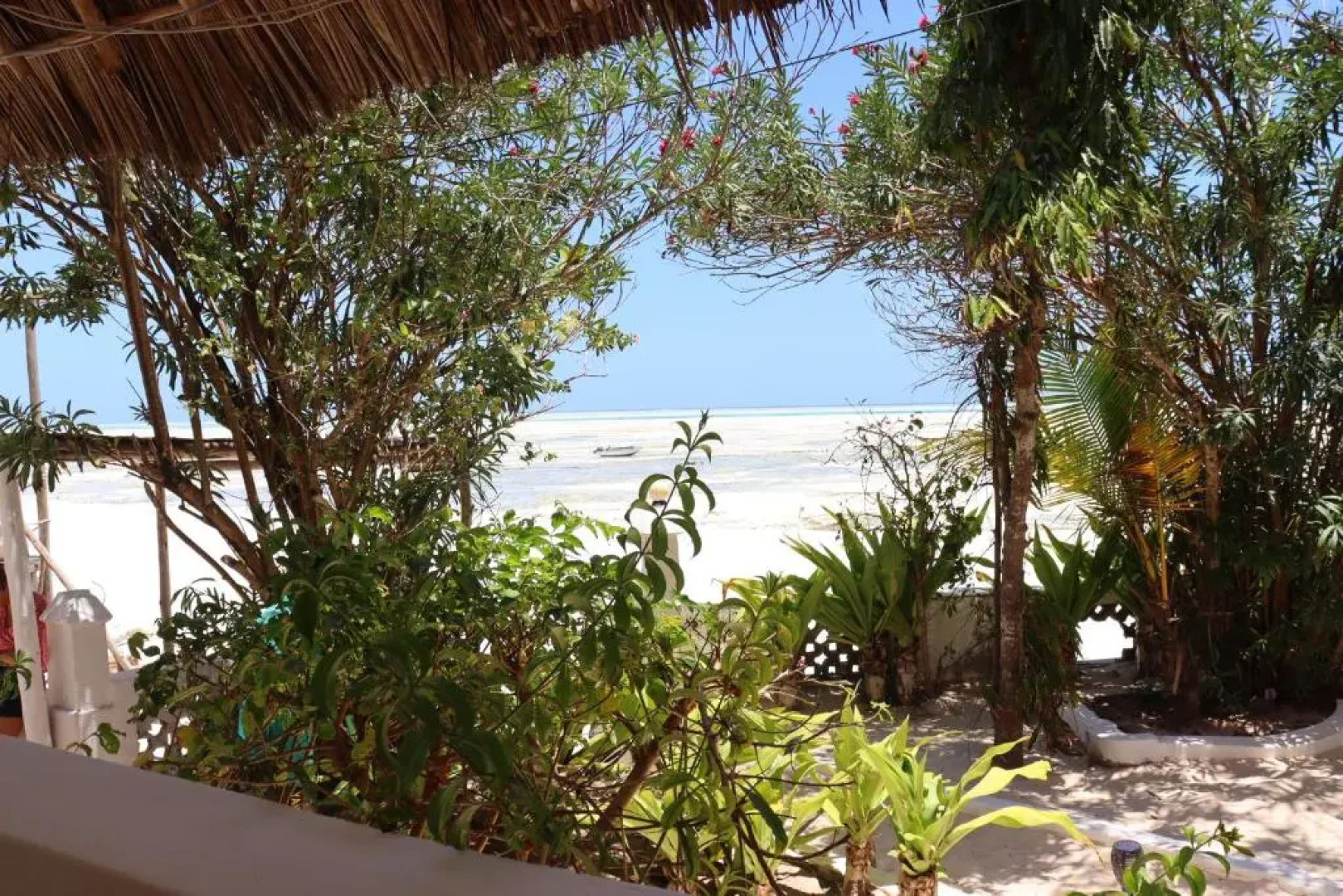 Red Monkey Beach Lodge