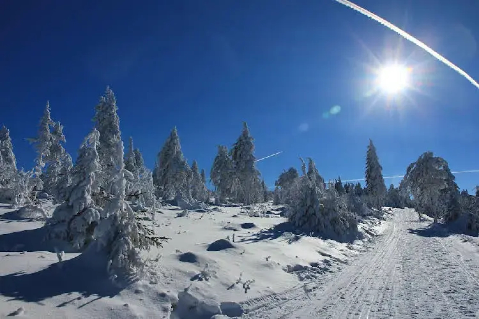 Pension Haus am Berg