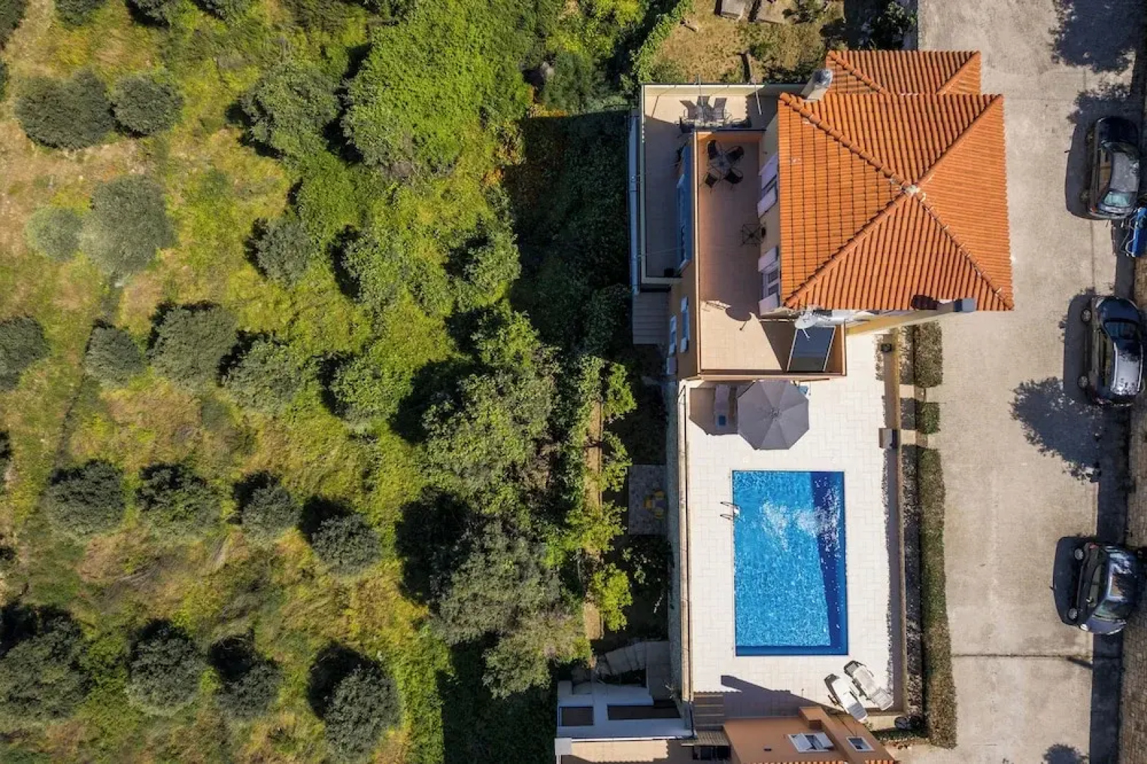 Olive Tree Villa