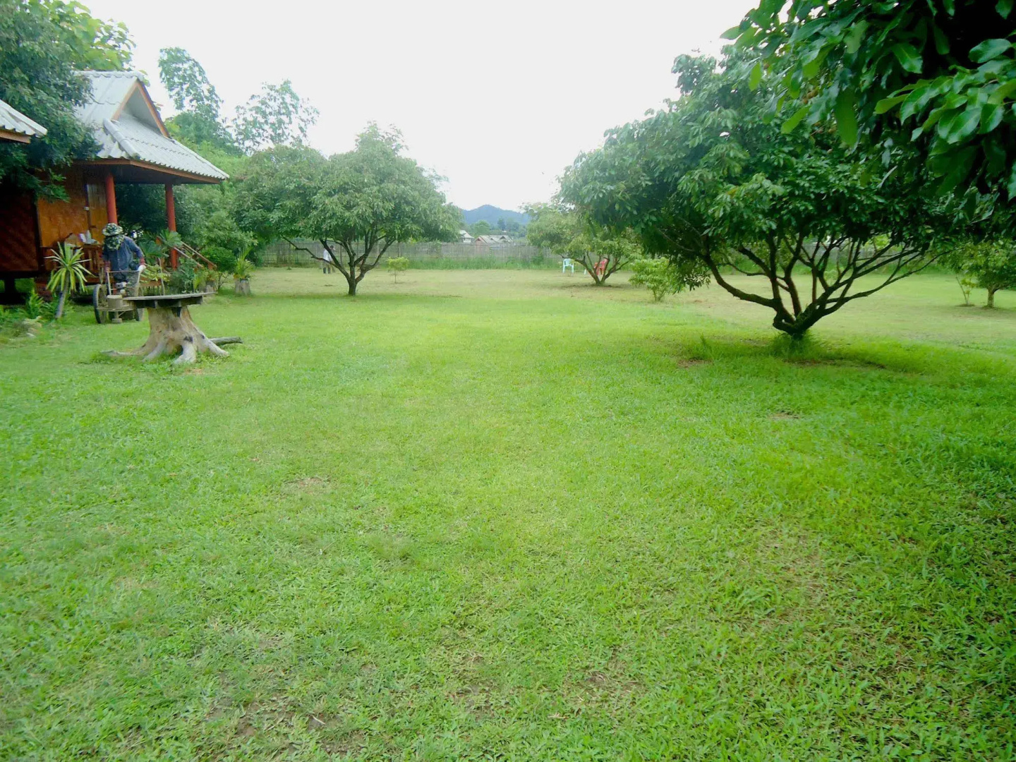 Orange Grove Resort