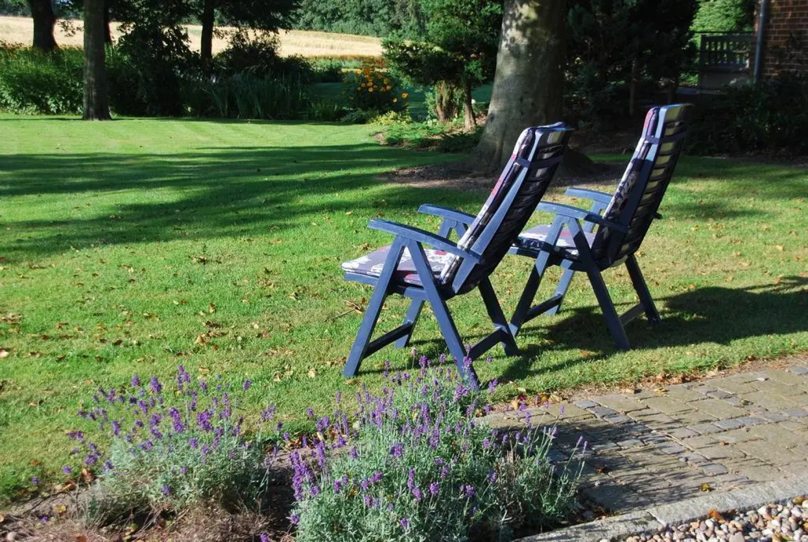 Karolinelund Apartments