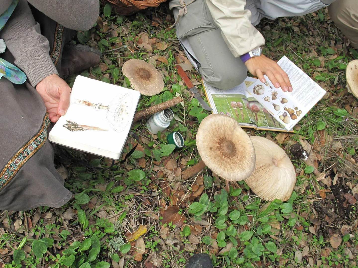 Отель The Nest By Cooking And Nature