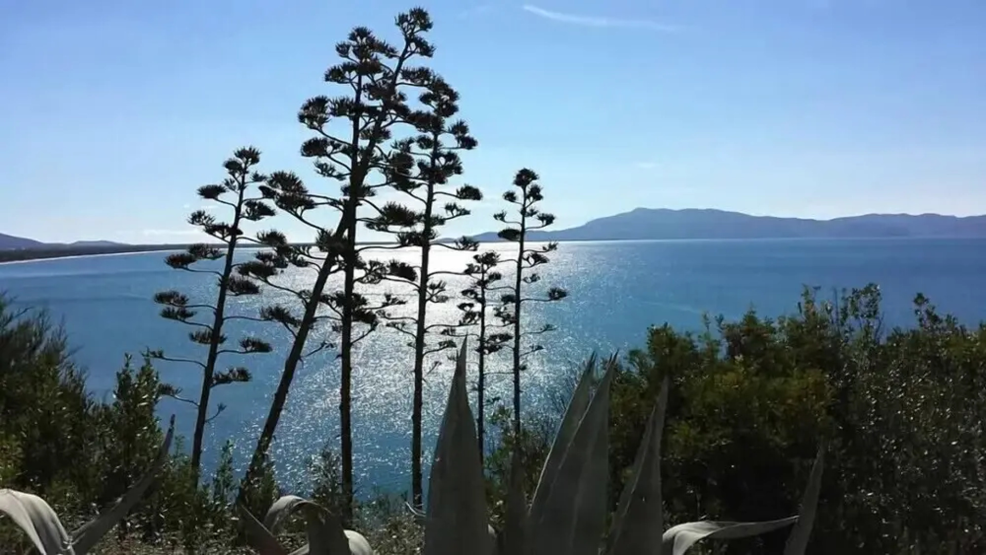 Verdidea - TORRE SPAGNOLA