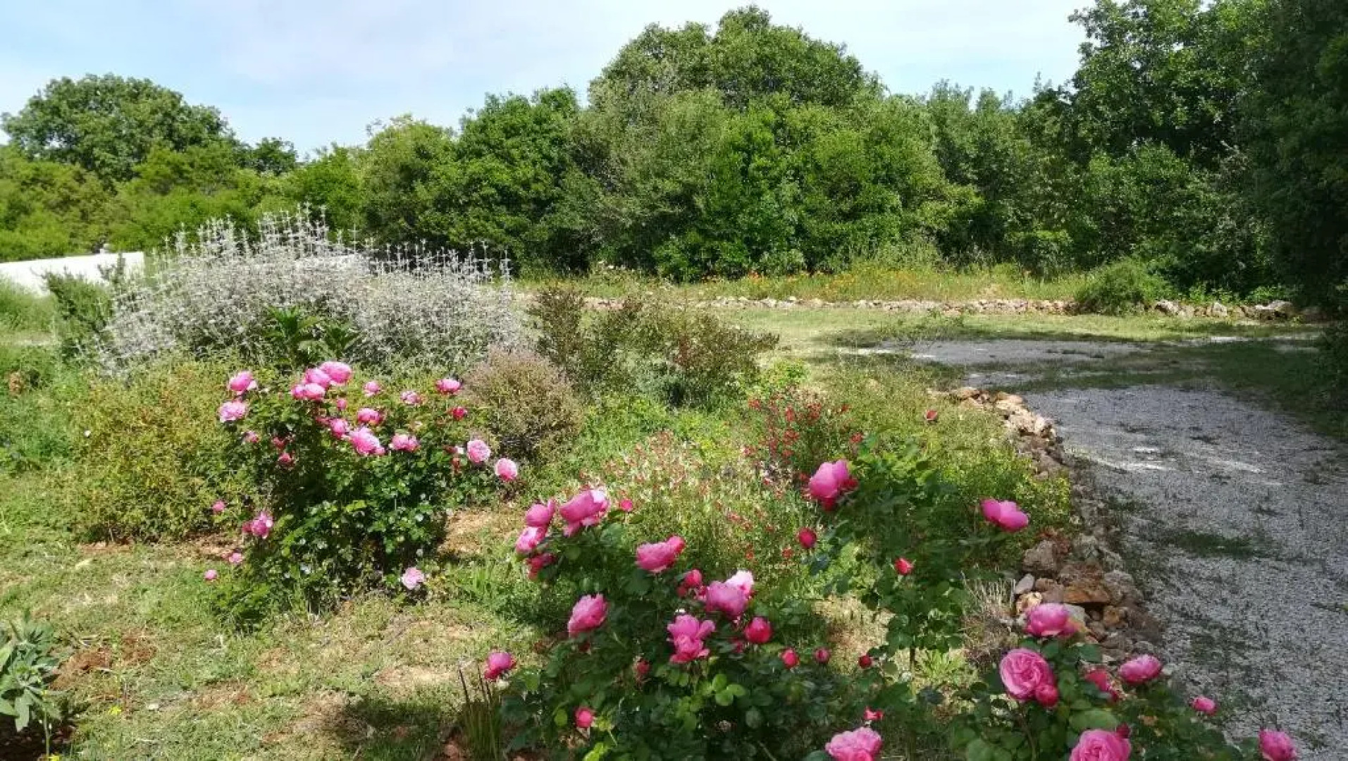 Entre Brousse Et Garrigue