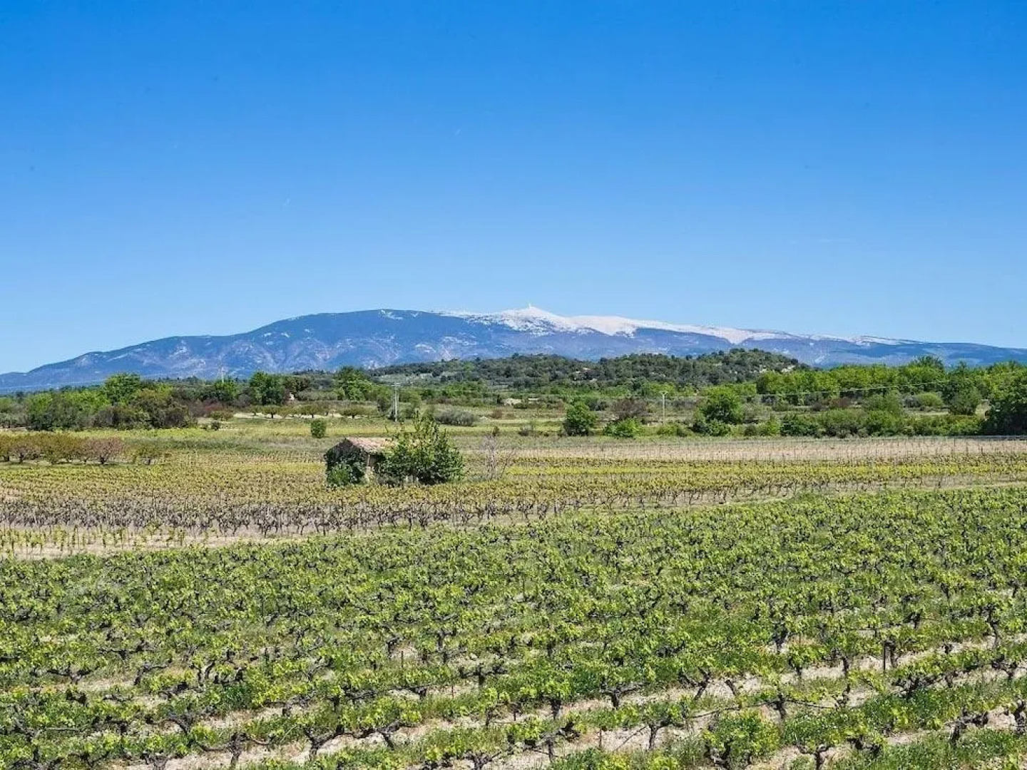 Le Mas de Plein Pagnier