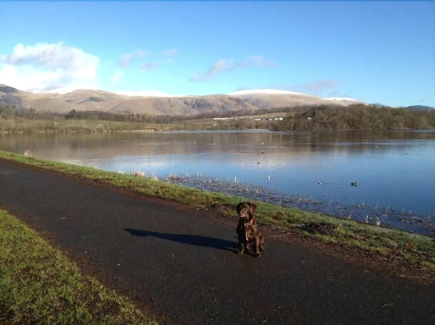 Gartmorn dam Walkers Accommodation