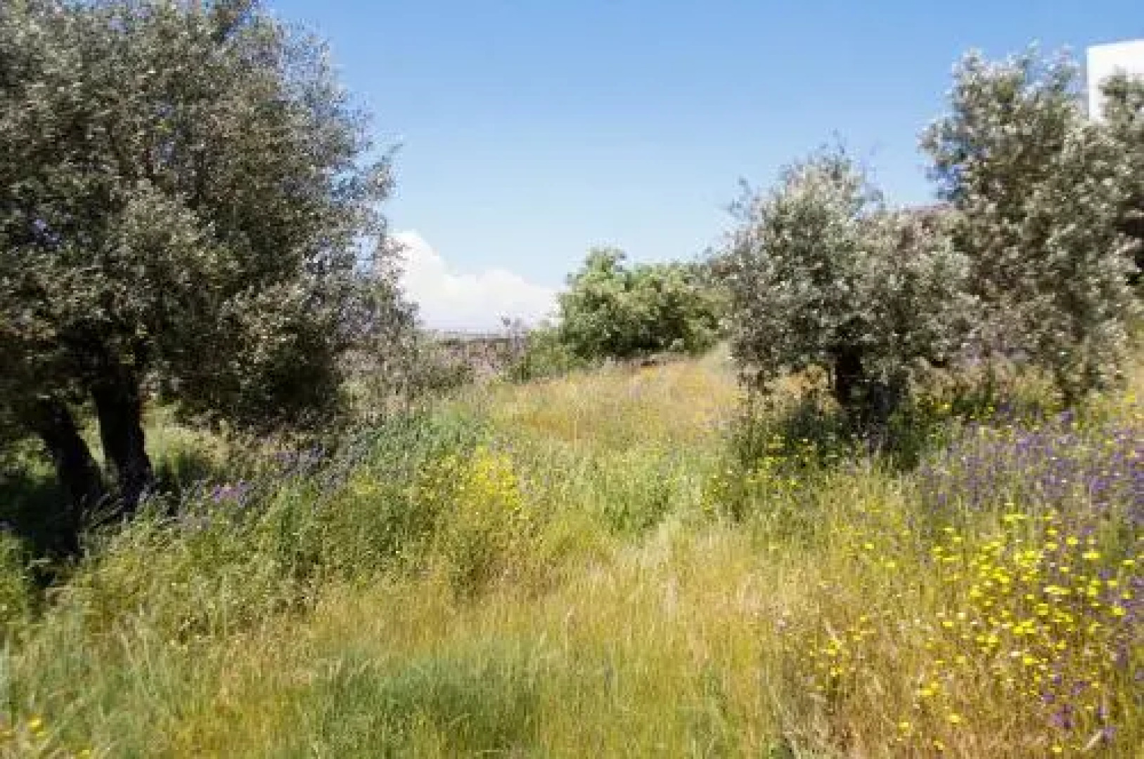 Quinta Serra De Sao Mamede