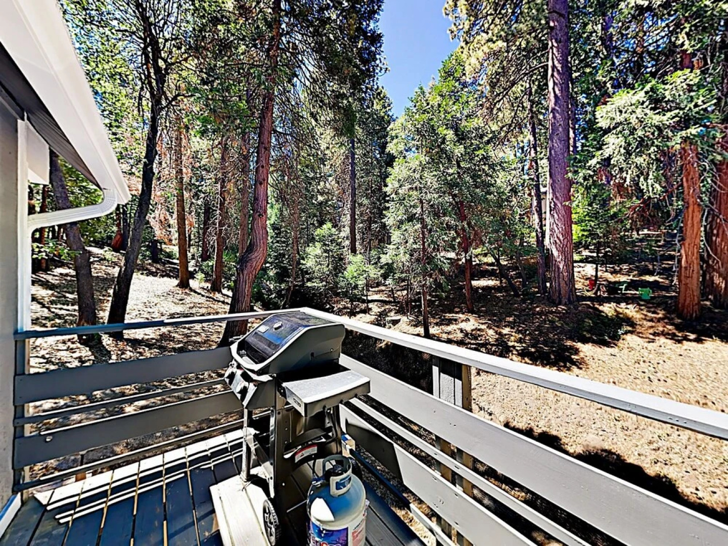 266 Lake Arrowhead - 4 Br Home