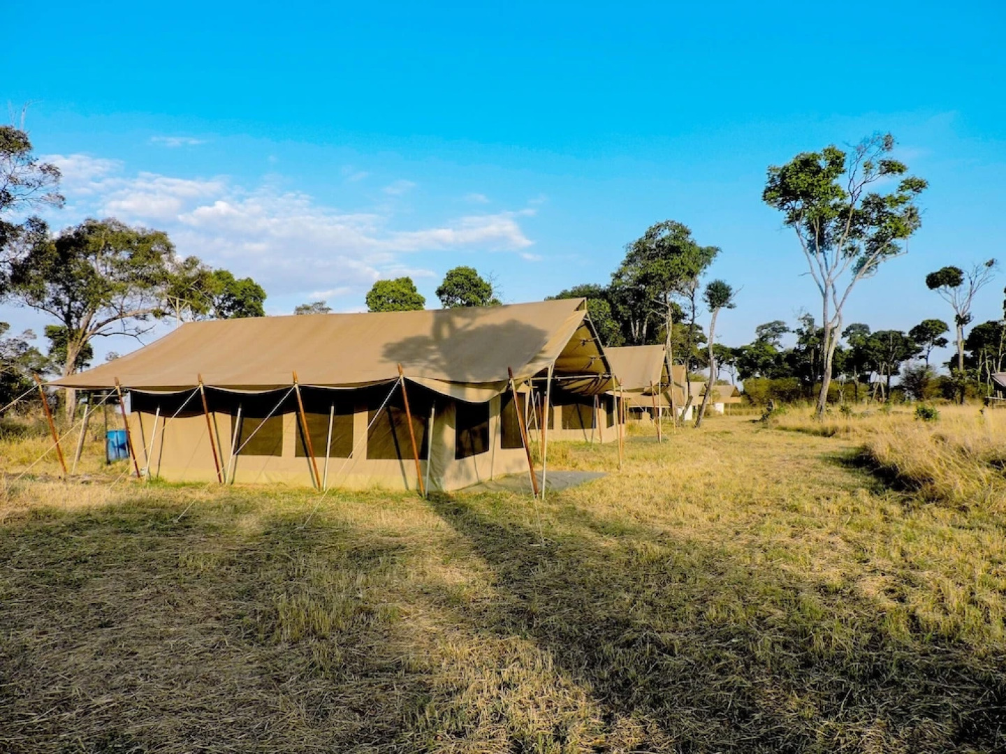 Serengeti Savannah Camps