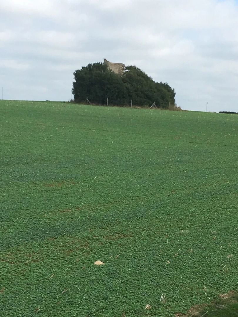 Chez Violette et Bruno