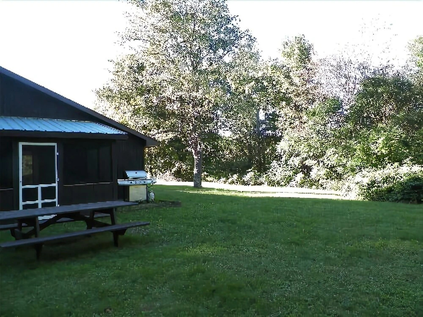 Feeder Creek Lodge and Cabin