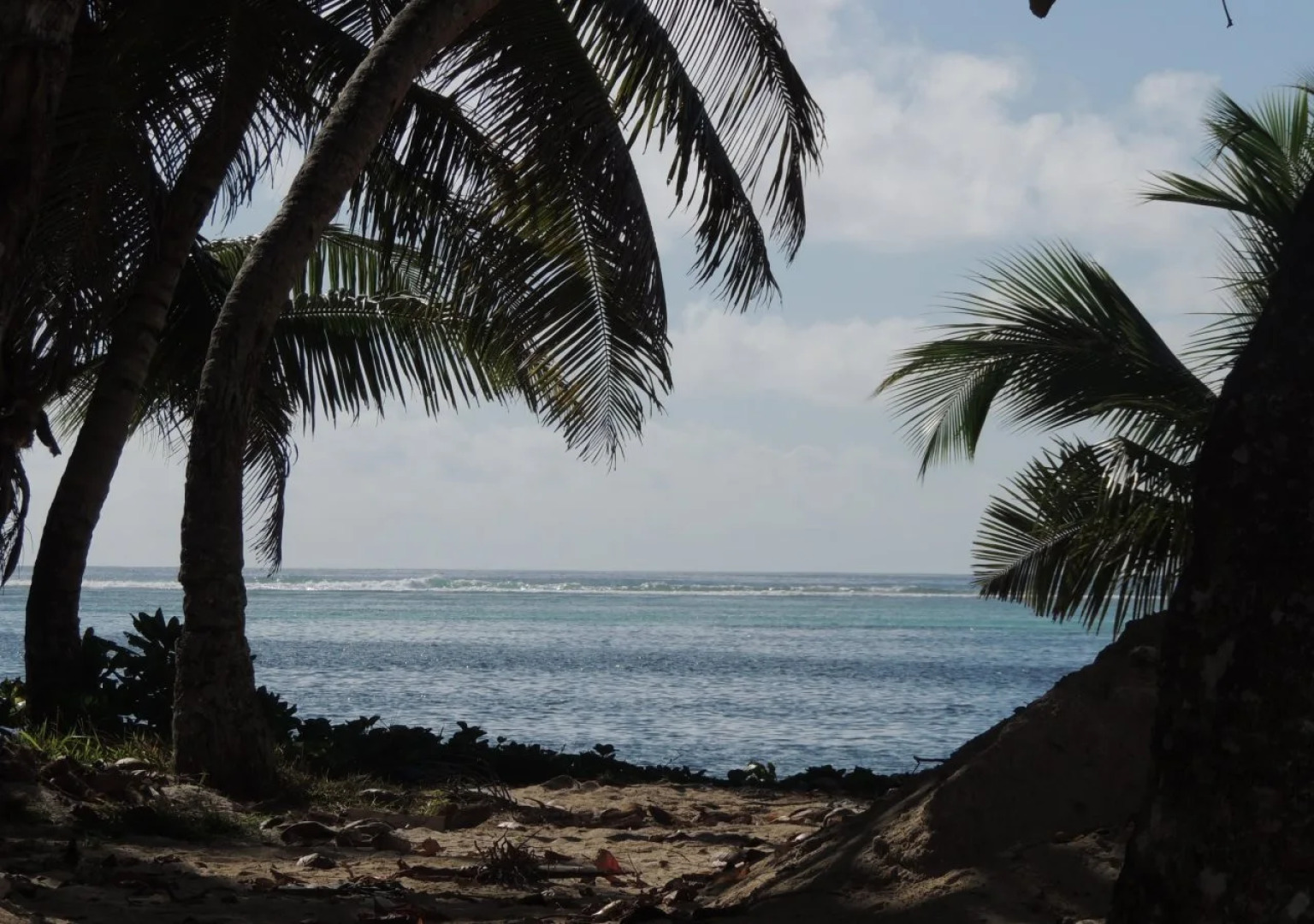Reef Holiday Apartments
