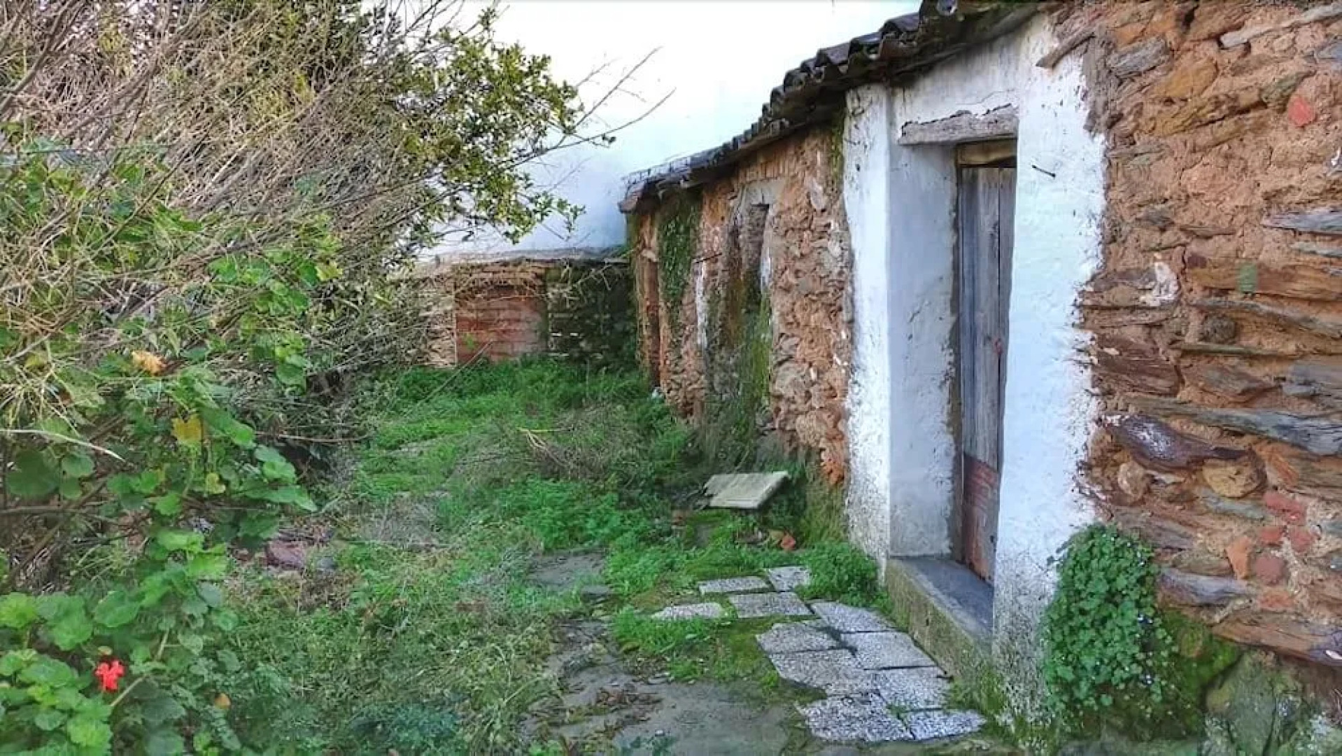 Bozquez Rural