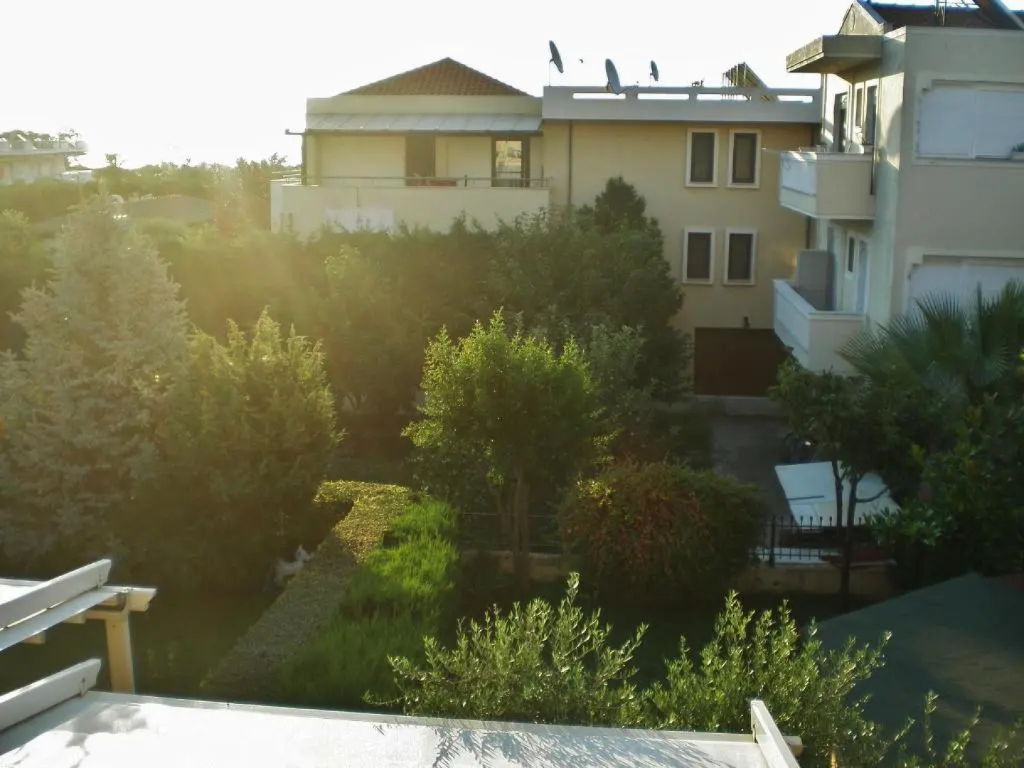 Nikolas & Anezina house