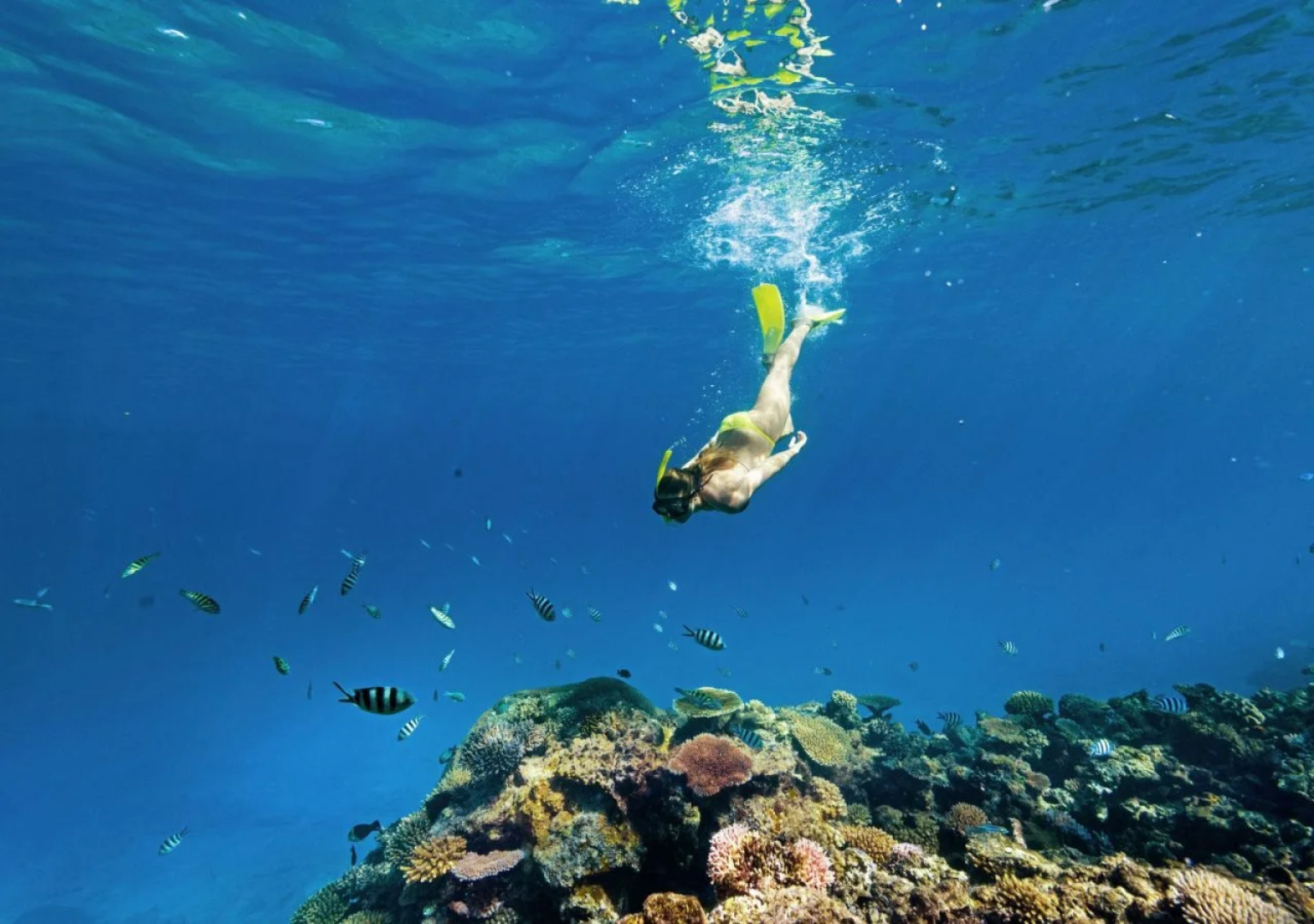 Sheraton Resort & Spa, Tokoriki Island, Fiji