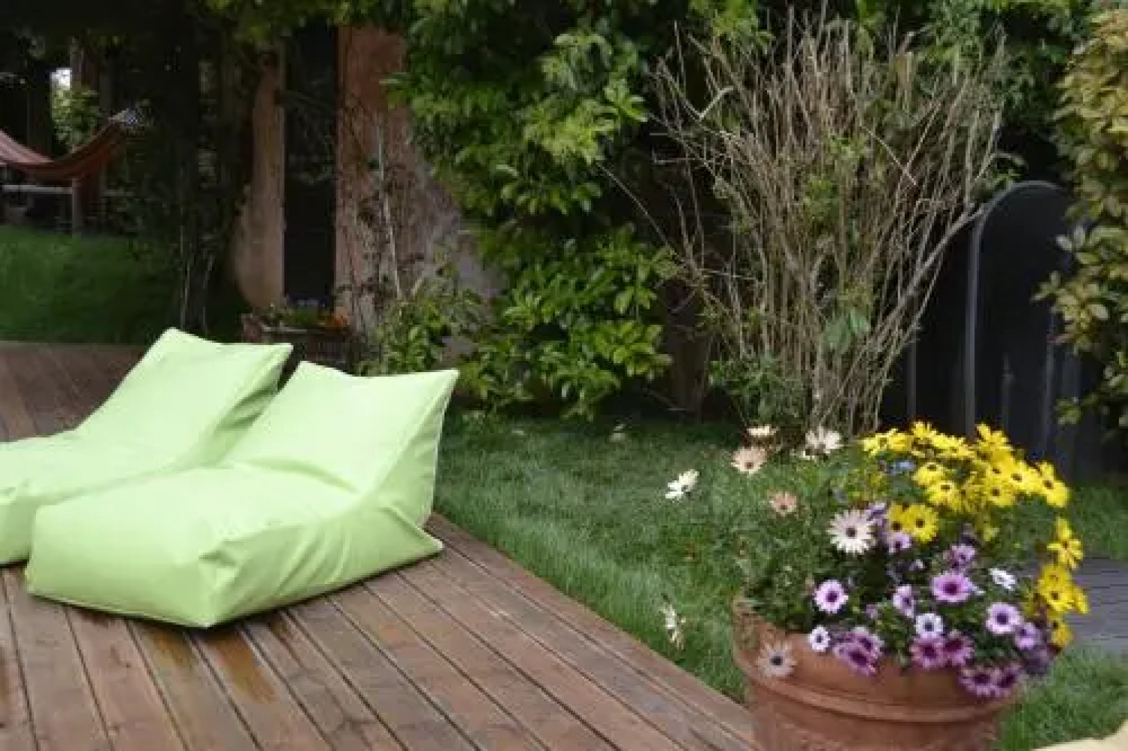 Turdus Merula 2 Villas