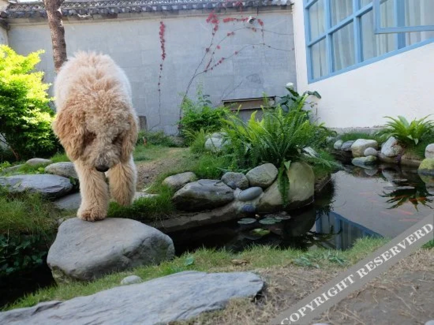 Shanti Guest House
