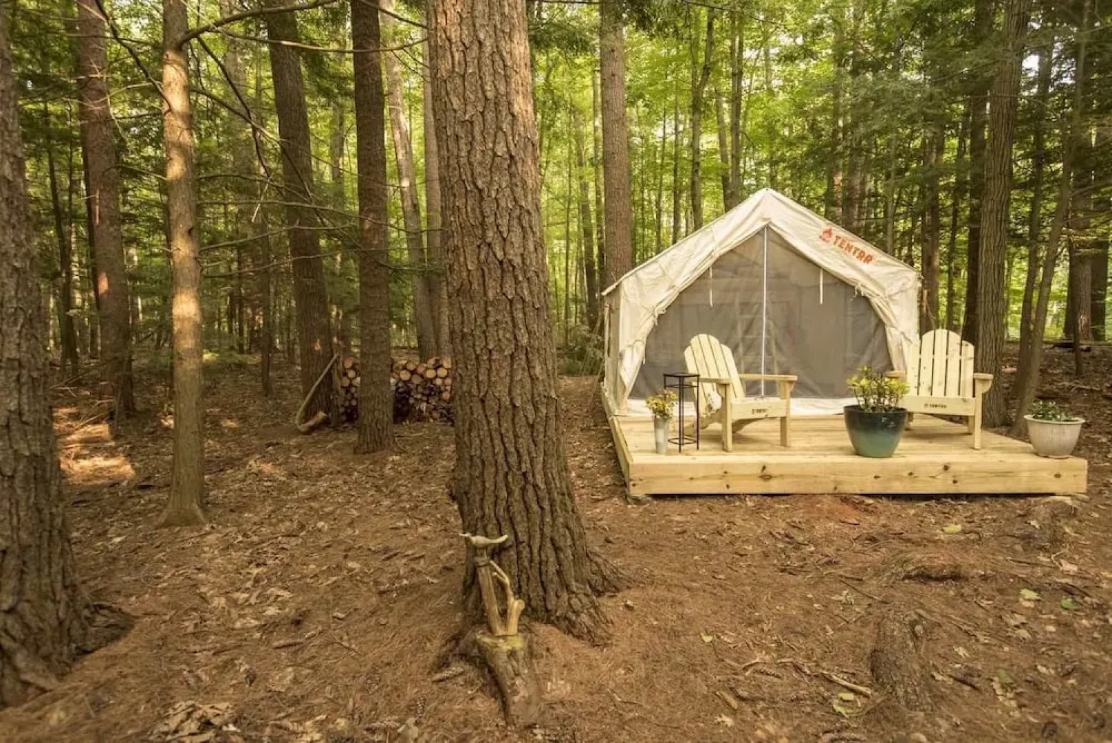 Tentrr - Purling Waters at Tumblin' Falls - Campsite