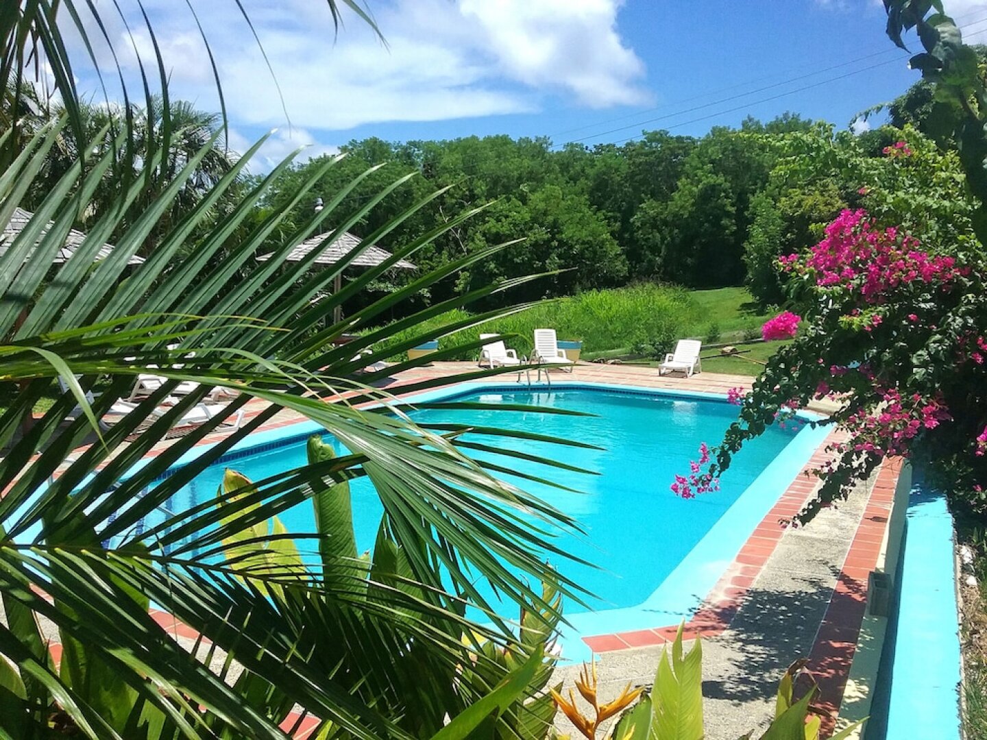 Sherwood Park Apartments