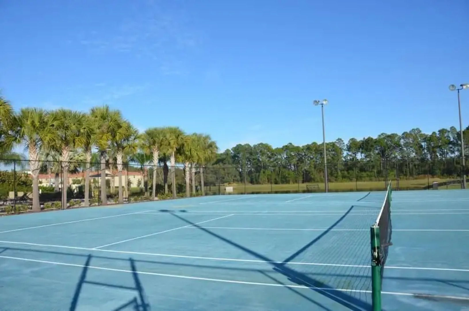 Paradise Palms by Fidelity VH ID:64795