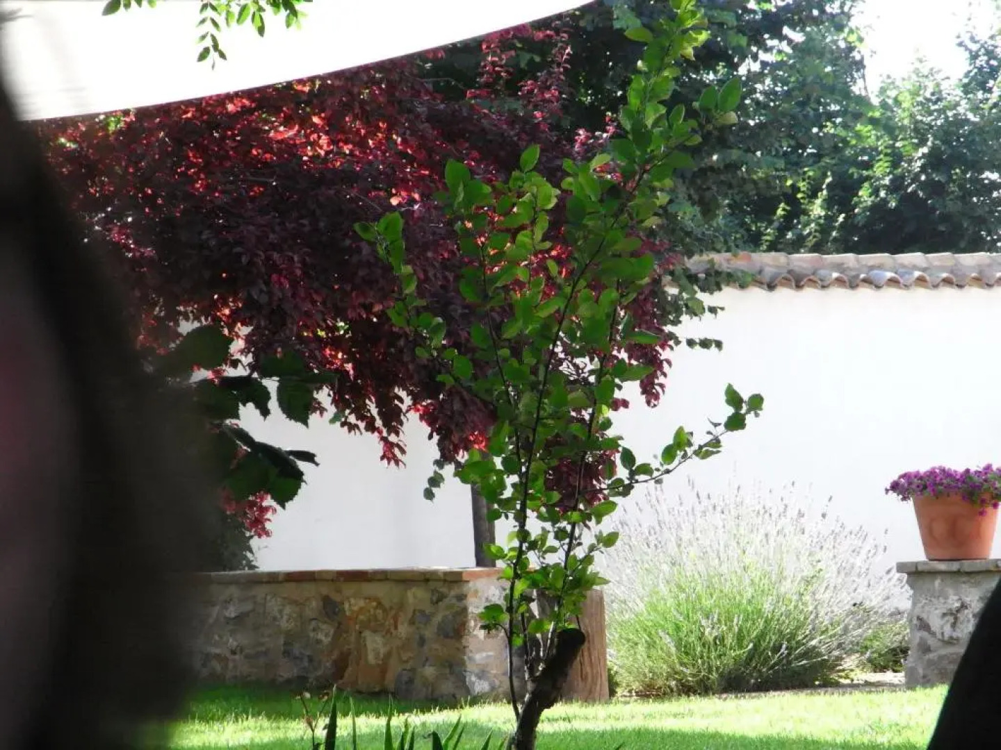 Casa Rural La Alameda