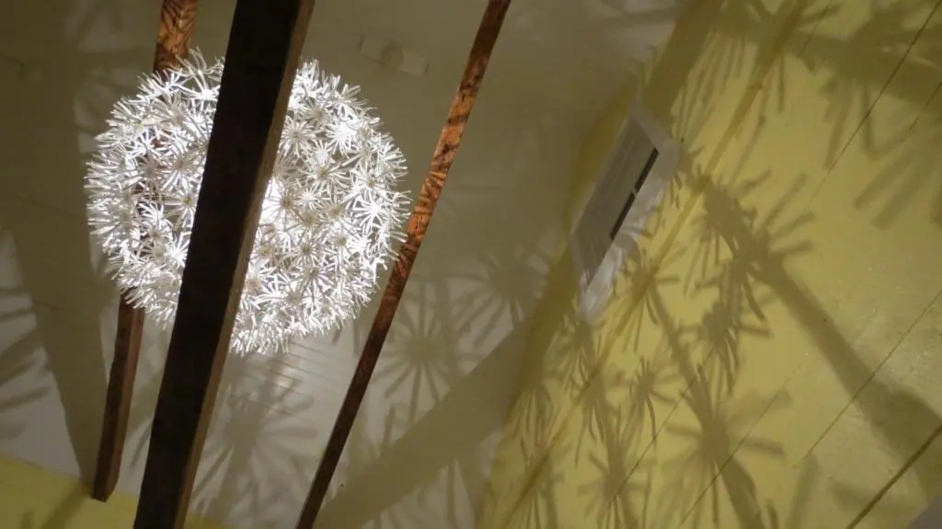 The Old Salt Box Co. - Daisy's Place