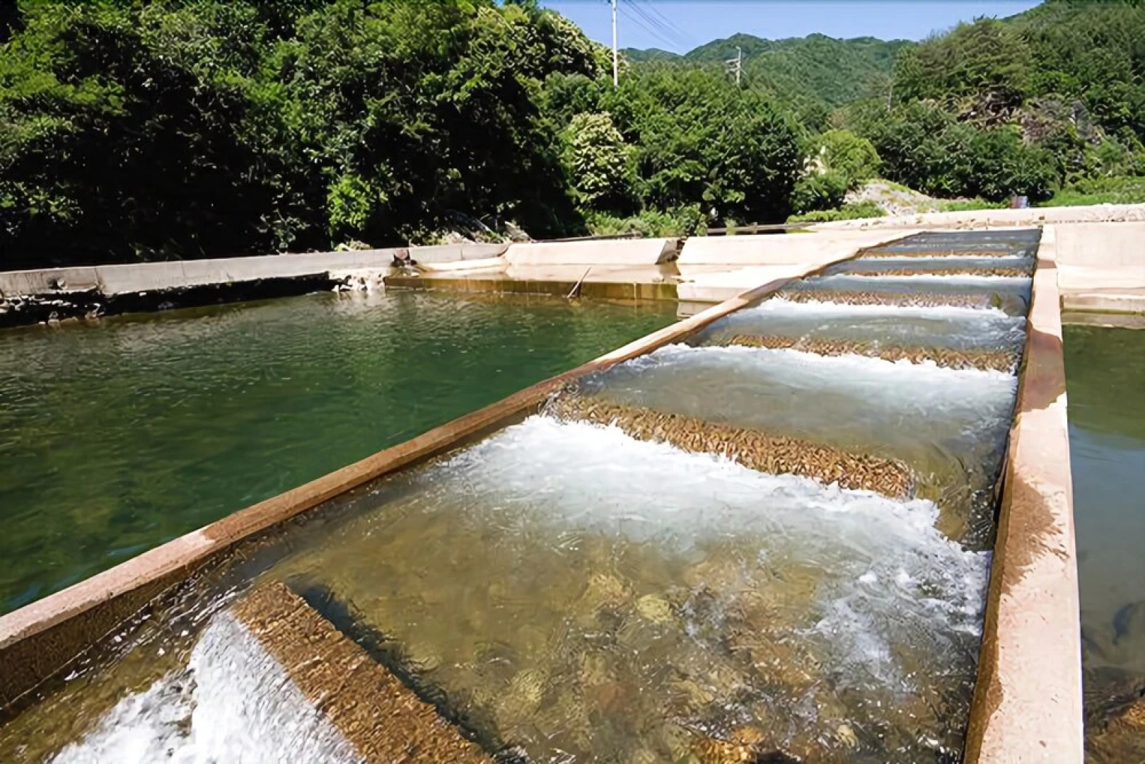 Hongchen Haeri House Pension