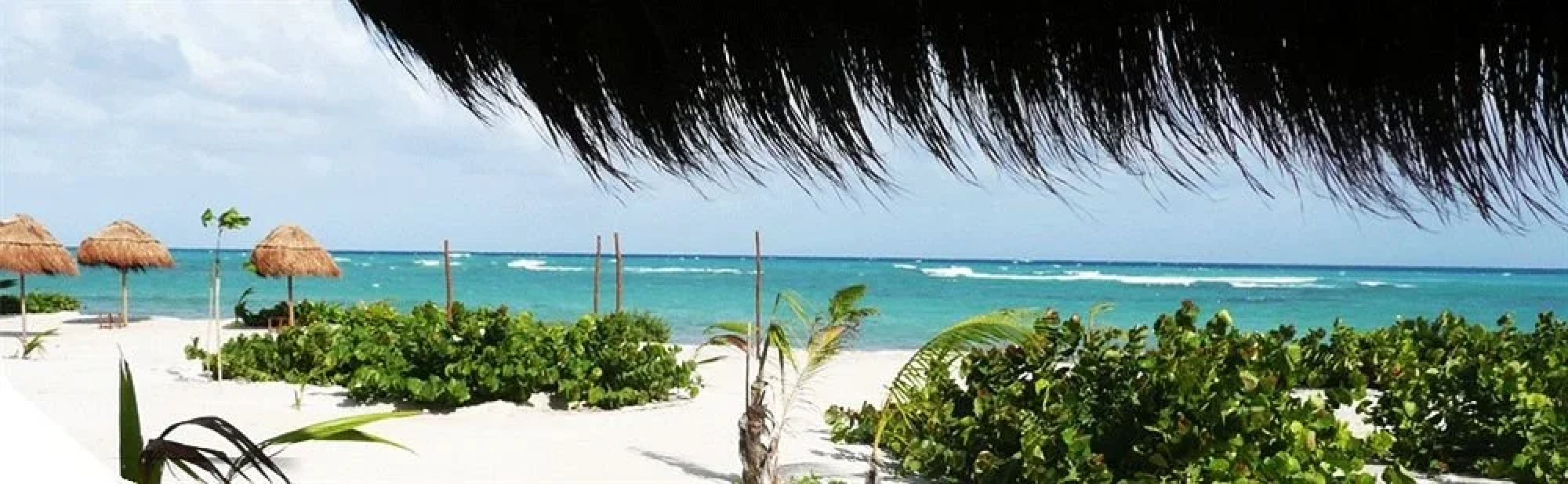 Almaplena Eco Beach Resort