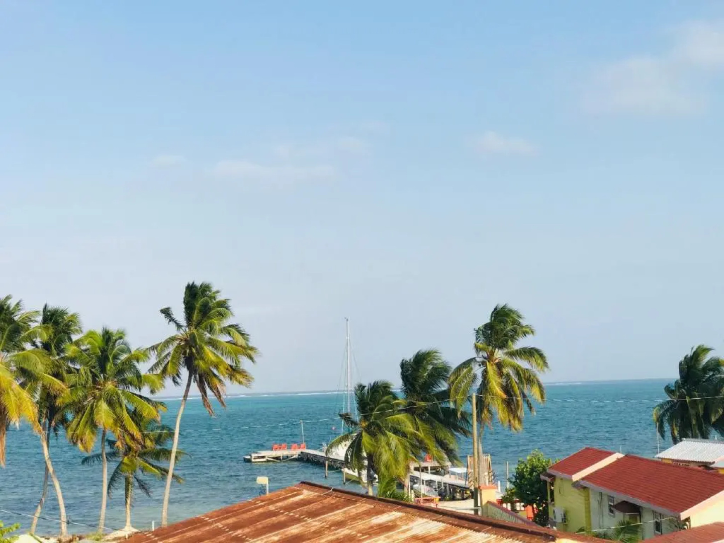 Tropical Paradise Hotel