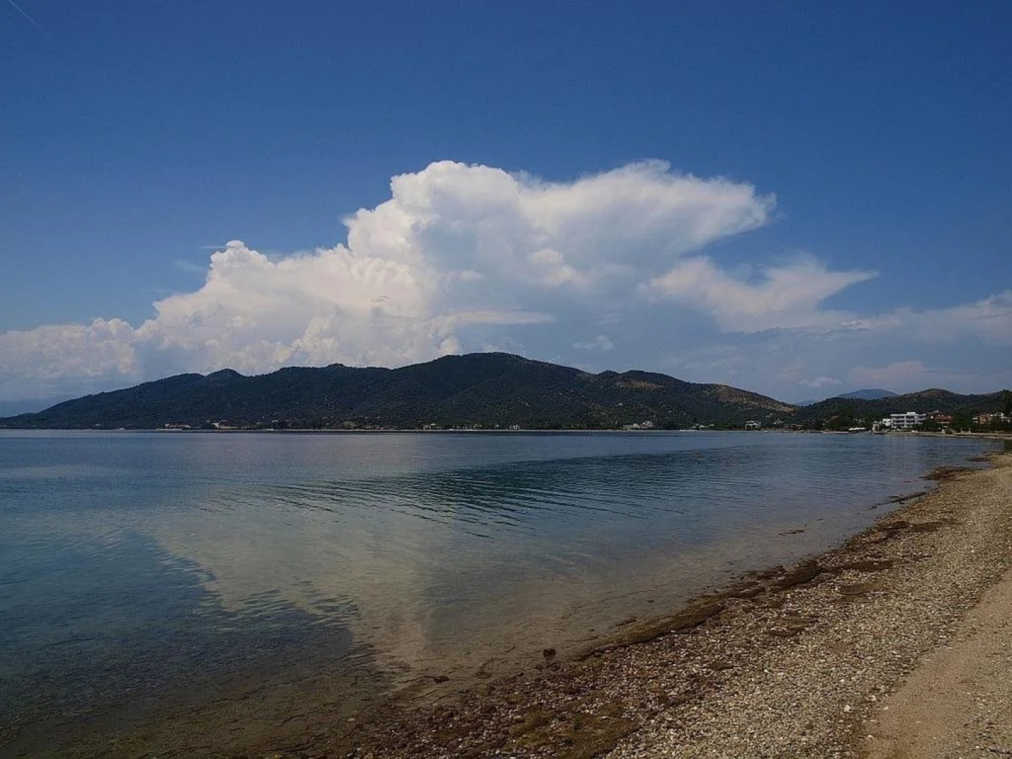 Vergina