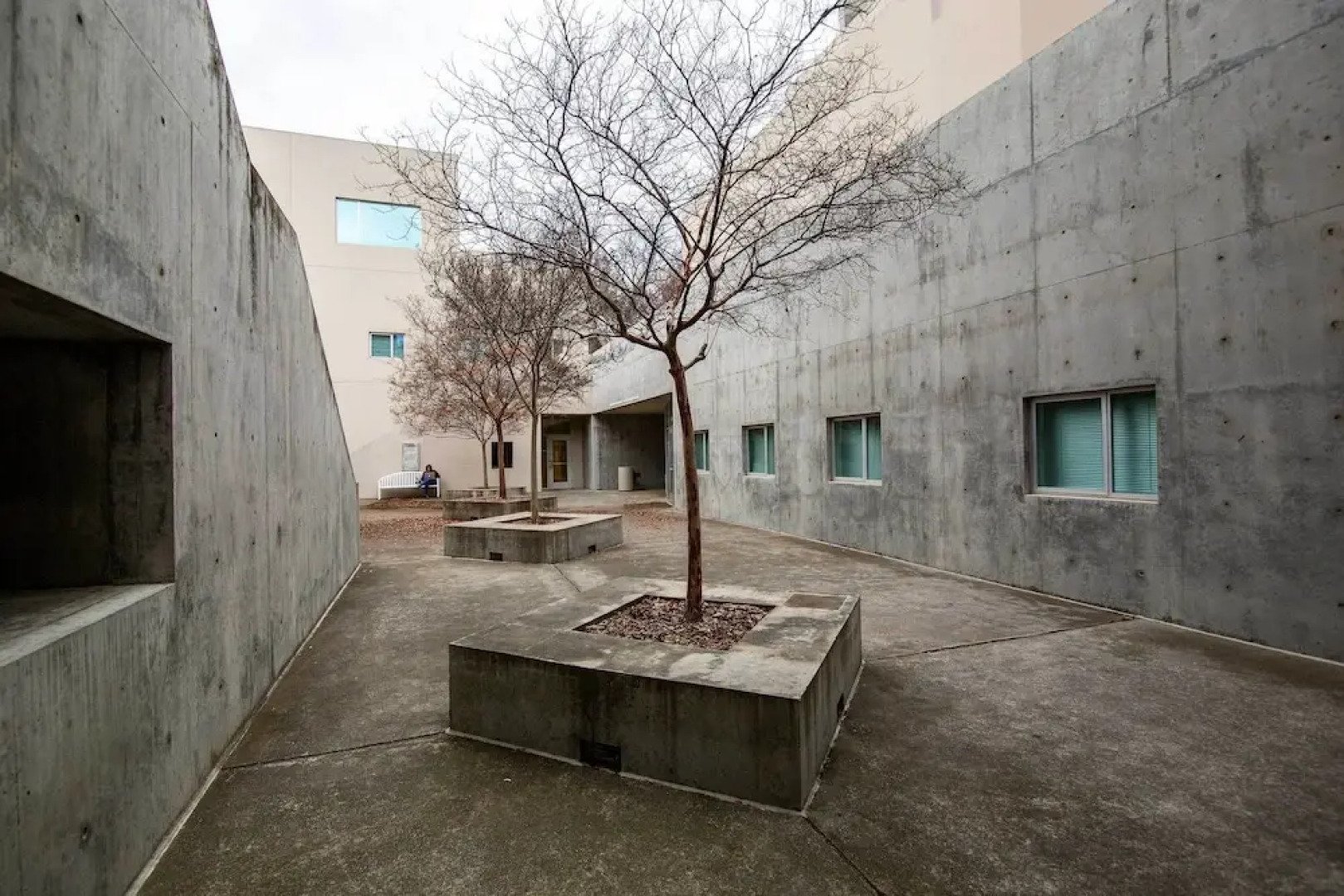 Well-appointed Condo Across Street From UC Davis!