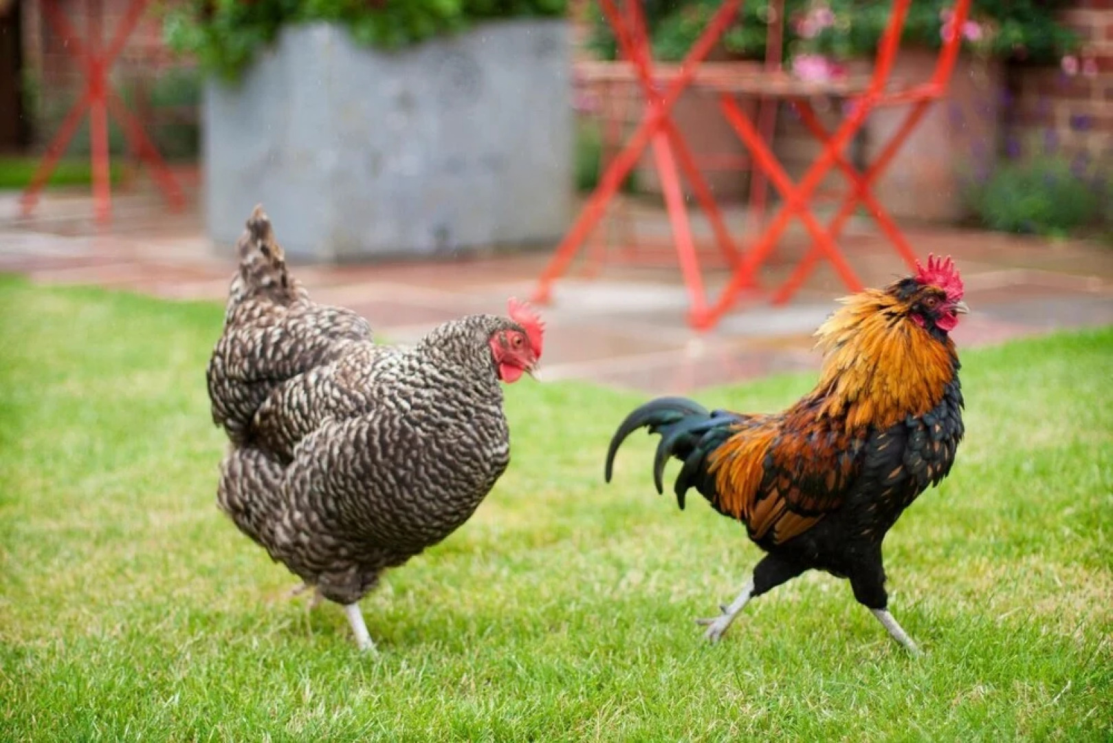 The Lofts at Mill House Farm