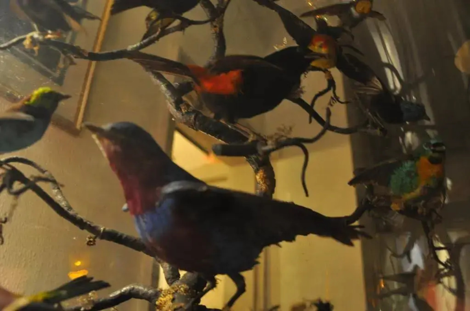 The Forester and Flower