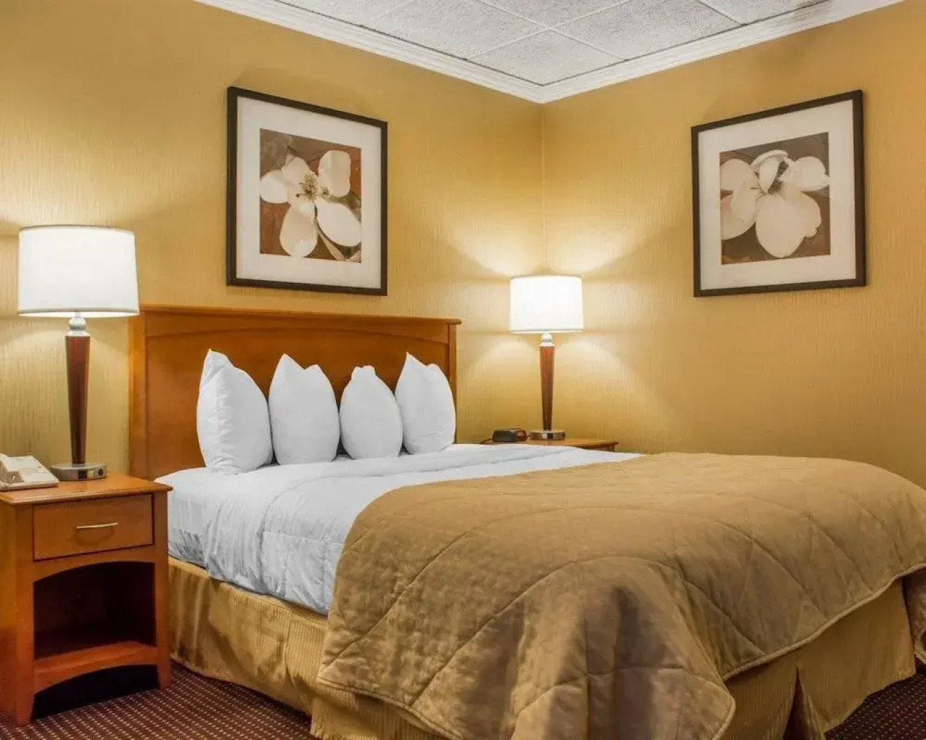 Quality Inn & Suites Riverfront Oswego