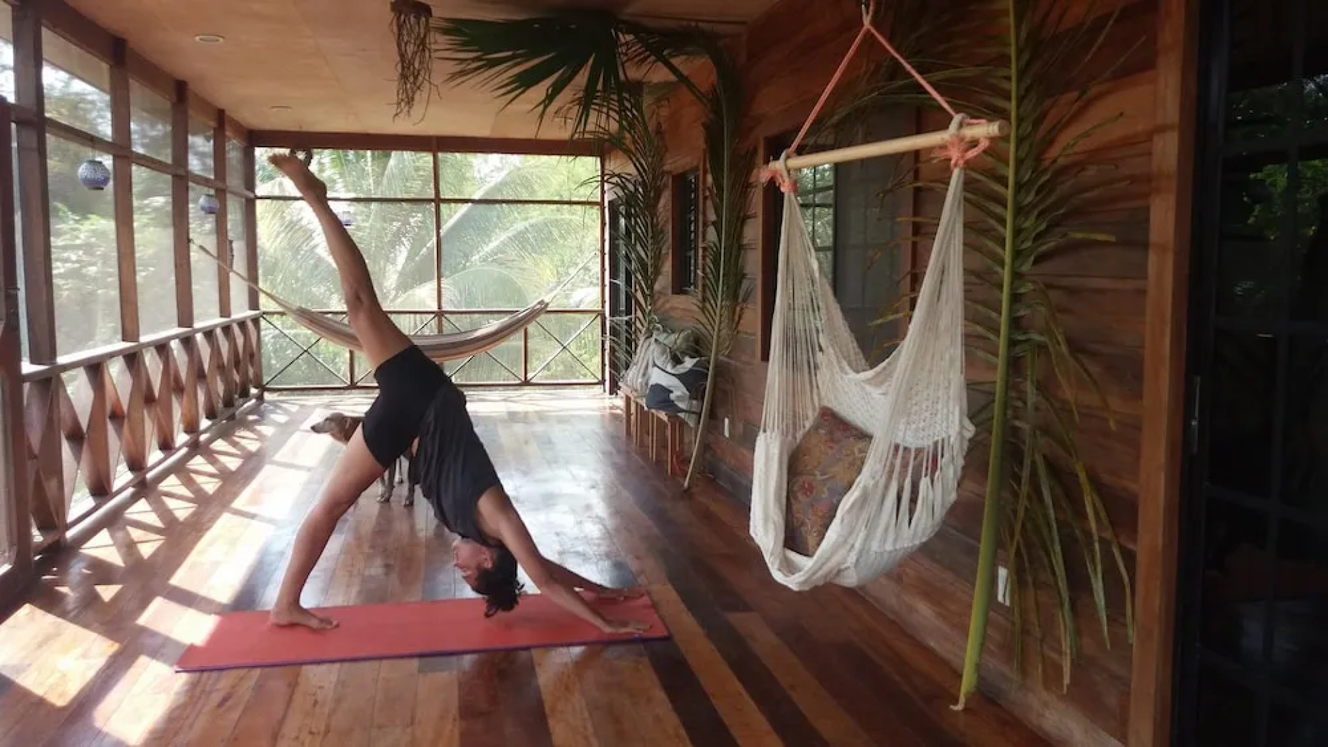 Serenity Retreats Belize -A Vegan Resort