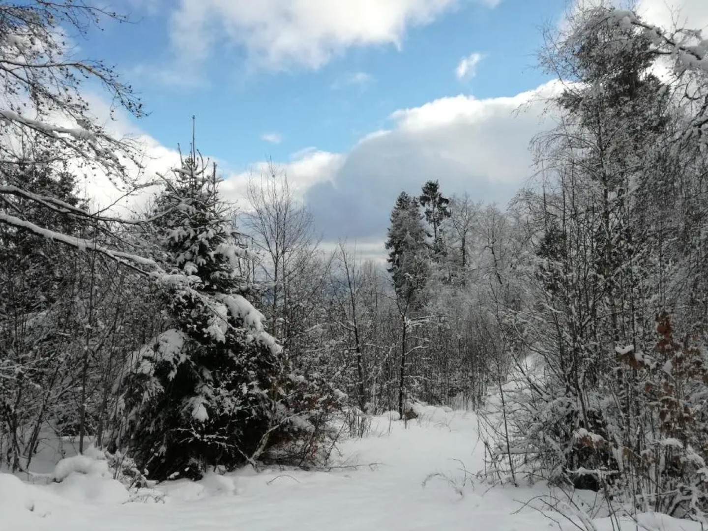 Ferien-Appartement Goldhausen