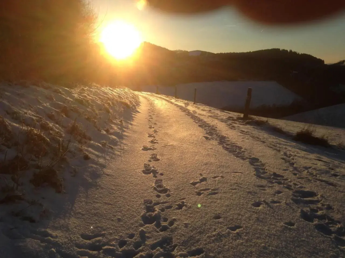 Ferienwohnung Helena