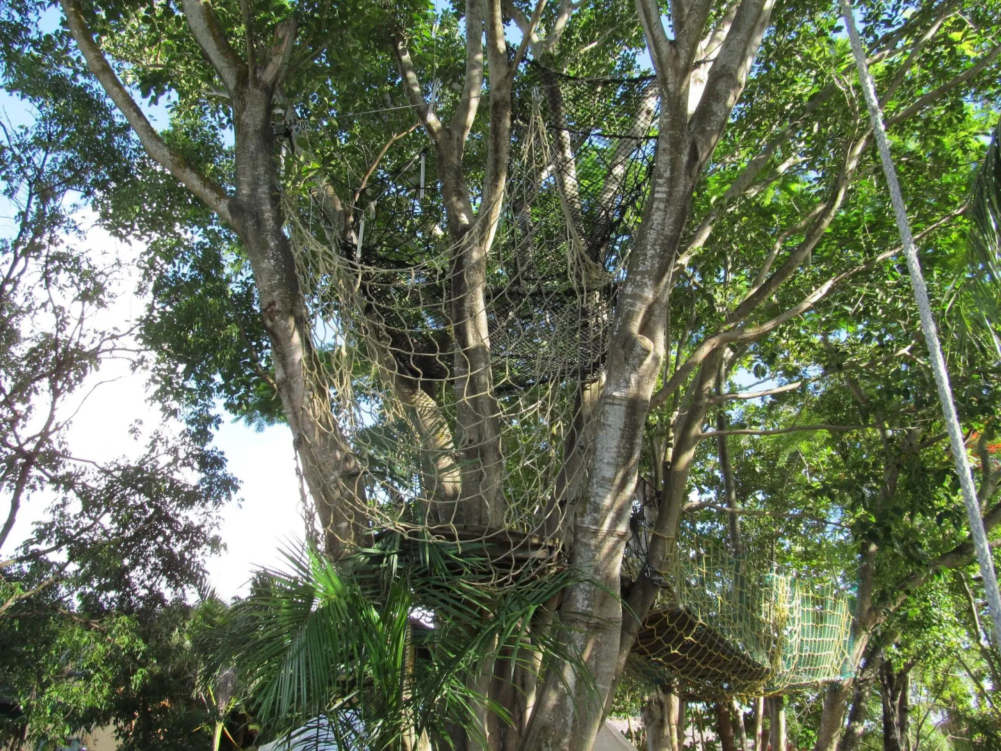 Хостел Hoosville