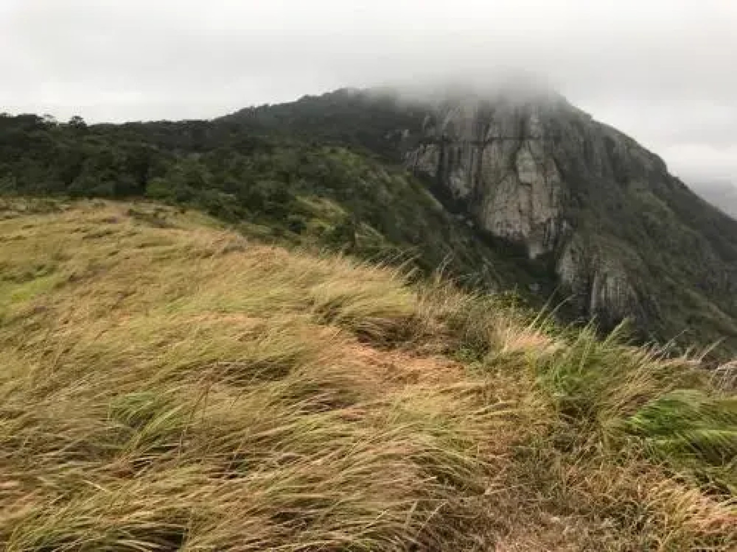 31st December Farms And Estates