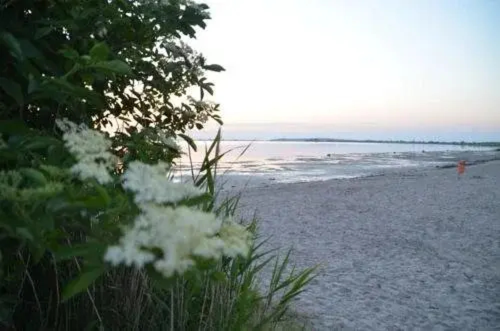 Restaurant & Pension Alte Schule