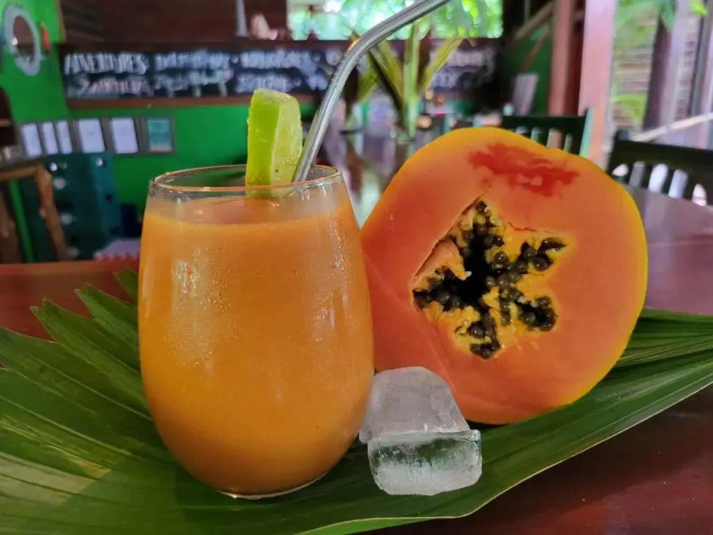 Casa Cayuco Eco-Adventure Lodge