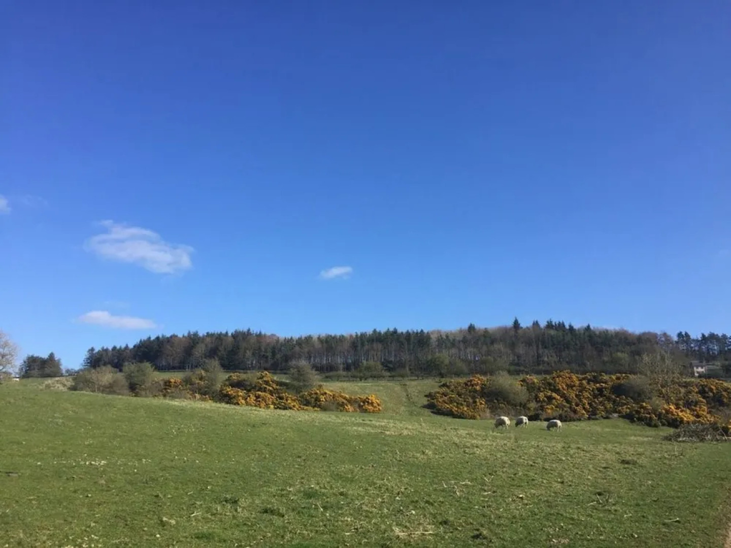 Stunning 1-bed Annex in Hawick