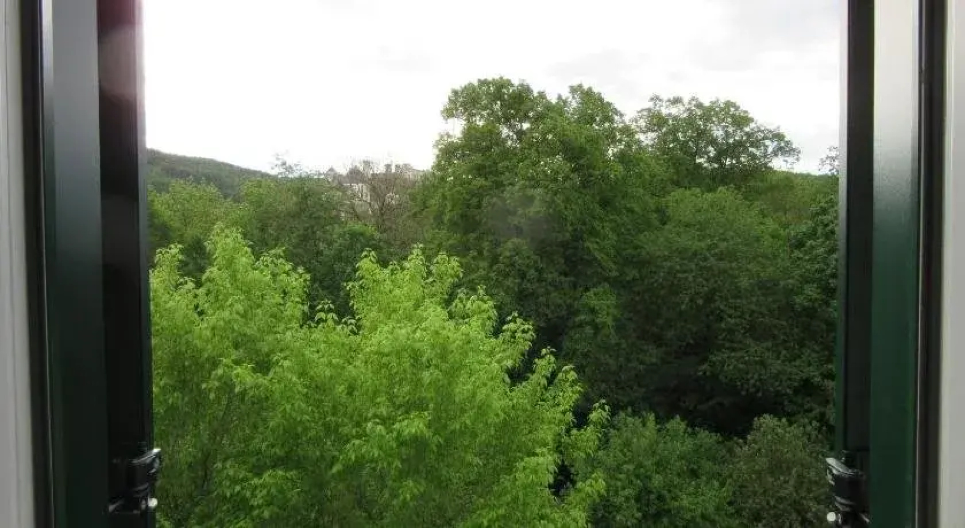 Waldpension Mück