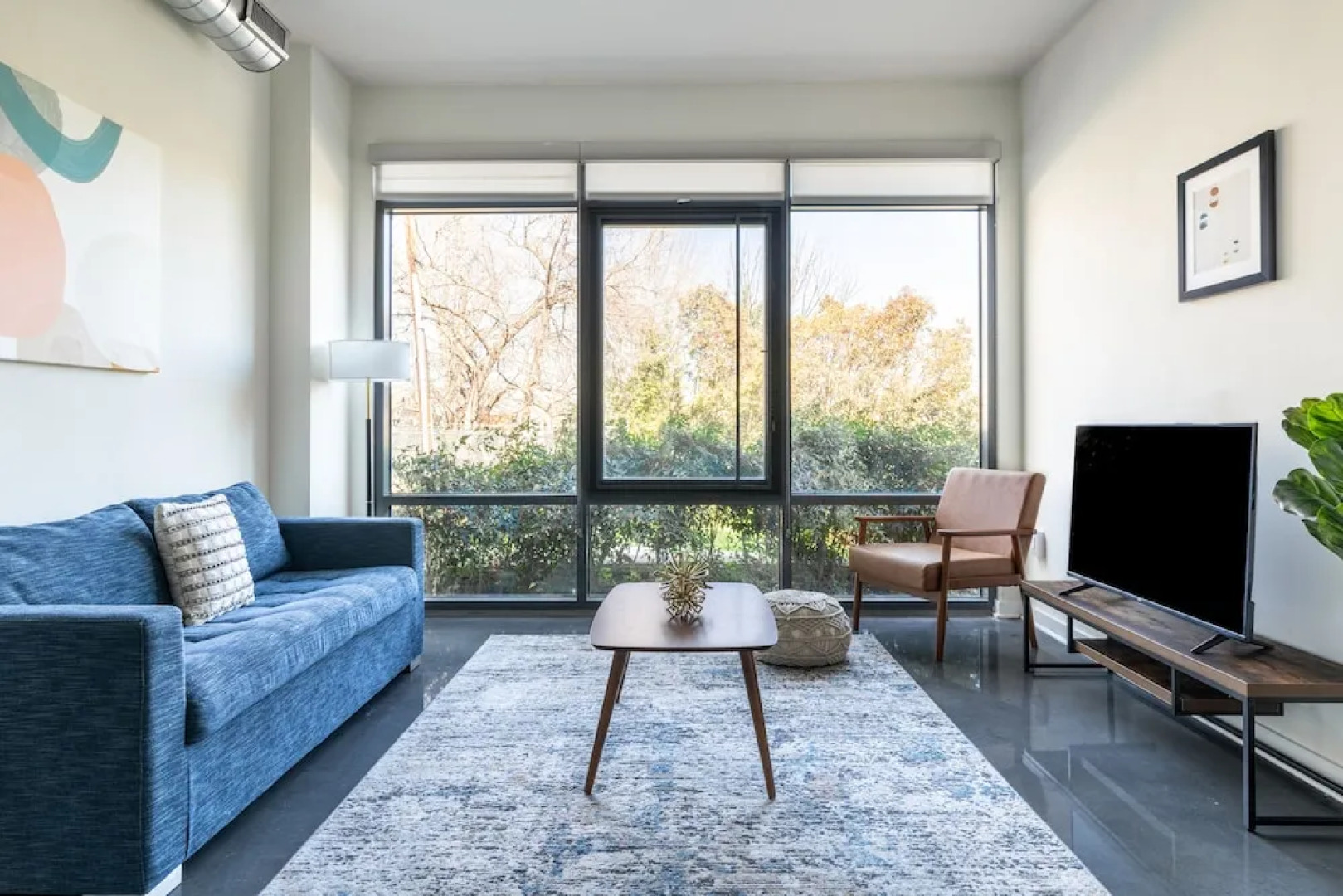 Kasa Alexandria Washington