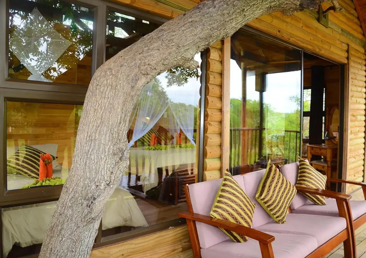 Pezulu Tree House Lodge