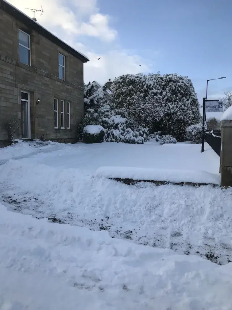 Springfield Guesthouse