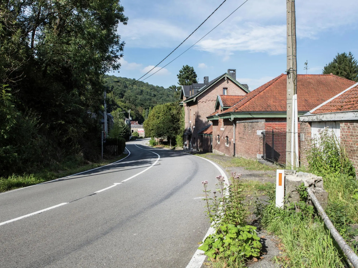 Mansion With Pool, Neblon