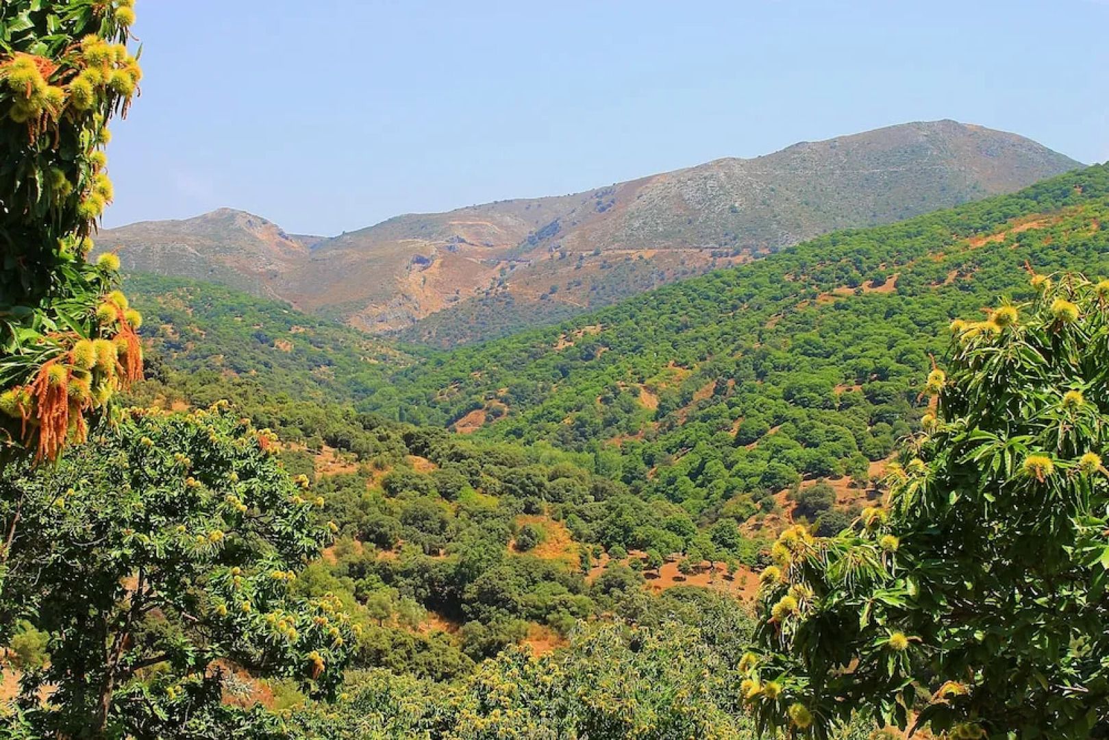 Casa Rural Molino de la Máquina